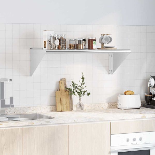 vidaXL Sein&auml;hylly 100x45x31 cm hopea ruostumaton ter&auml;s