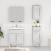 vidaXL Kylpyhuonekalustesetti ovella 3 pcs Valkoinen Massiivinen m&auml;nty