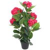 vidaXL Tekokukka ruukulla hortensia 60 cm punainen