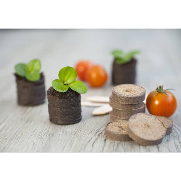 Nature 106-osainen Pienoiskasvihuoneen aloitussarja