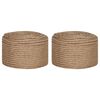 vidaXL Juutti K&ouml;ysi 2 kpl 2 mm 100 m Luonnollinen 100% Tossa juutti