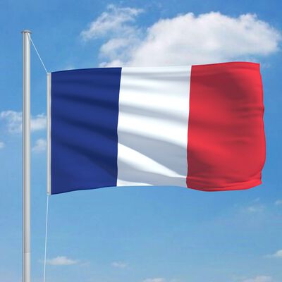 vidaXL Ranskan lippu 90x150 cm