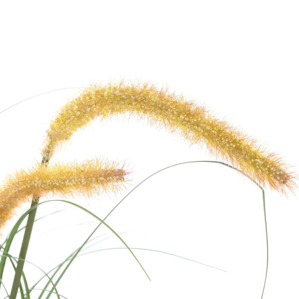 vidaXL Tekoruohokasvi osmank&auml;&auml;mill&auml; 110 cm