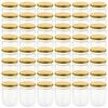vidaXL Lasiset hillopurkit kullan v&auml;risill&auml; kansilla 48 kpl 230 ml
