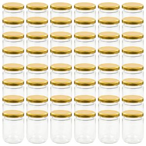 vidaXL Lasiset hillopurkit kullan v&auml;risill&auml; kansilla 48 kpl 230 ml