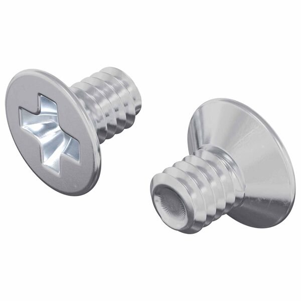 vidaXL Upotetut p&auml;&auml;ruuvit 2 pcs Hopea M4 x 6 mm Ter&auml;s