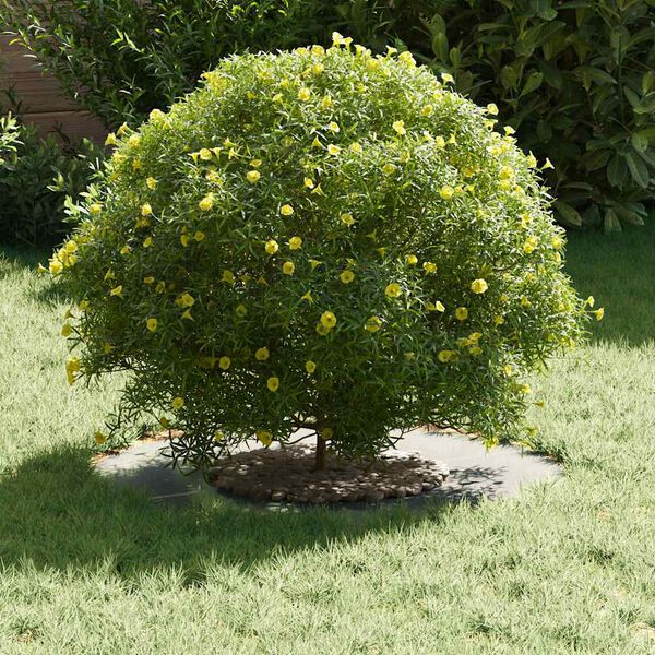 vidaXL sopiva Litteille puu renkaalle 5 pcs Hopea Ø30 / 60 cm