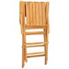 vidaXL Kokoontaitettavat tuolit 4 kpl 55x61x90 cm massiivipuu tiikki