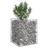 vidaXL Gabion Kohotettu Peti Hopea 50 x 50 x 60 cm Galvanoitu ter&auml;s