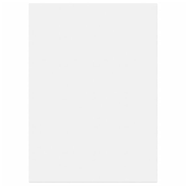 vidaXL Pingotettu maalauskangas 12 kpl valkoinen kangas ja t&auml;ysi m&auml;nty