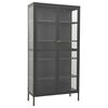 vidaXL Esittelykaappi antrasiitti 90x40x180 cm ter&auml;s/karkaistu lasi