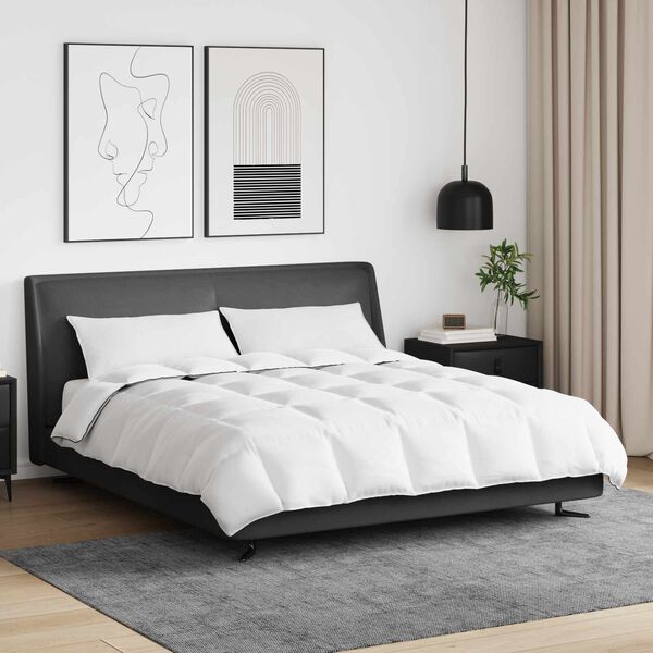 vidaXL Talvityyny tyynyllä 3 pcs Valkoinen Untuvahöyhen