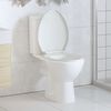 vidaXL Soft-close WC-istuin pikakiinnityksell&auml; valkoinen