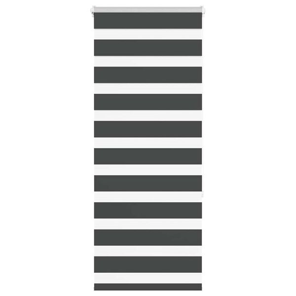 vidaXL Seepra rullaverho 55x150 cm kankaan leveys 50,9 cm polyesteri