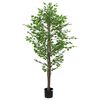 vidaXL Keinotekoinen Ficus Plant 1260 Lehdet 200 cm Vihre&auml;