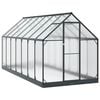 vidaXL Puutarhan Viherhuone ovella Antrasiitti 183,5 x 423,5 x 207 cm