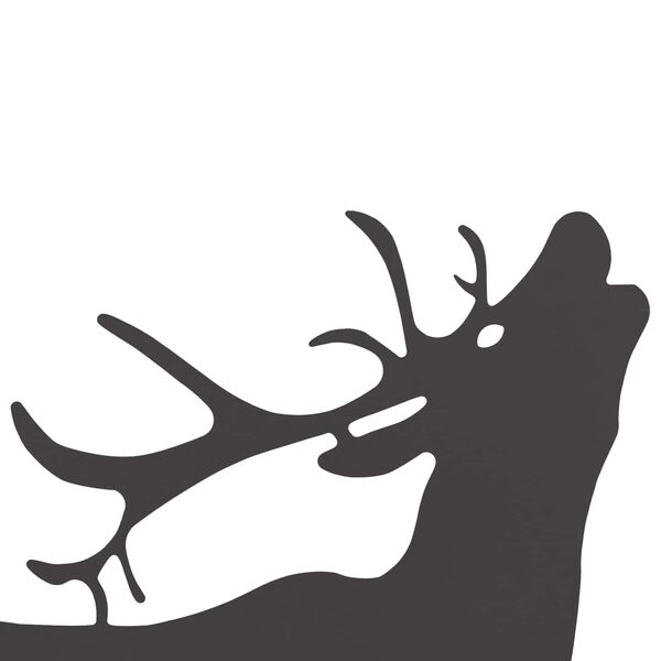 N&auml;ytet&auml;&auml;n tuotekuva 3 / 6