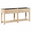 vidaXL Puutarha ruukku Beige 161 x 43 x 76,5 cm S&auml;teisen kuusipuu