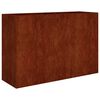 vidaXL Korotettu kukkalaatikko 120x40x80 cm Corten ter&auml;s