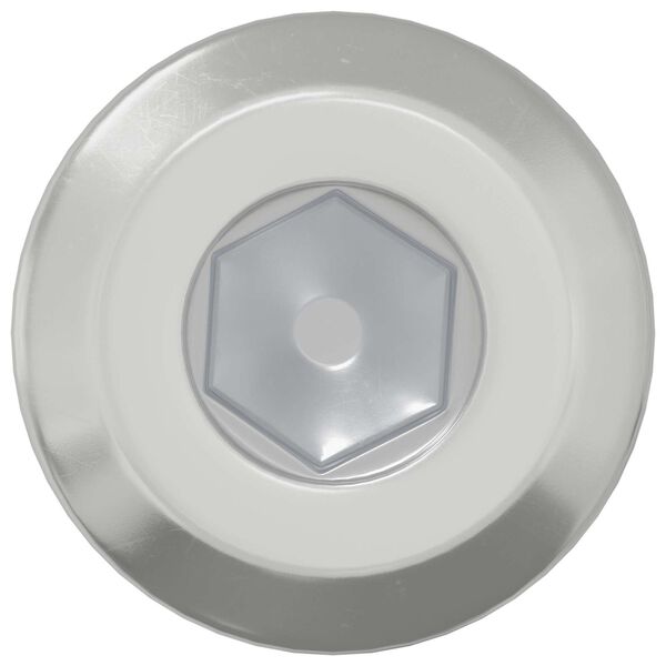 vidaXL P&auml;&auml;tylukitusruuvi 2 pcs Hopea M6 x 15 mm Ter&auml;s