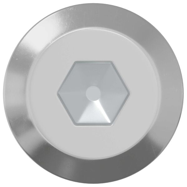 vidaXL Ruuvi 2 pcs Hopea M6 x 100 mm Ter&auml;s