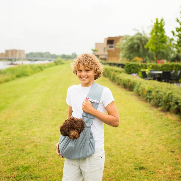 4Lazylegs Lemmikkien kantolaukku Pocket Canvas kangas 15 kg harmaa