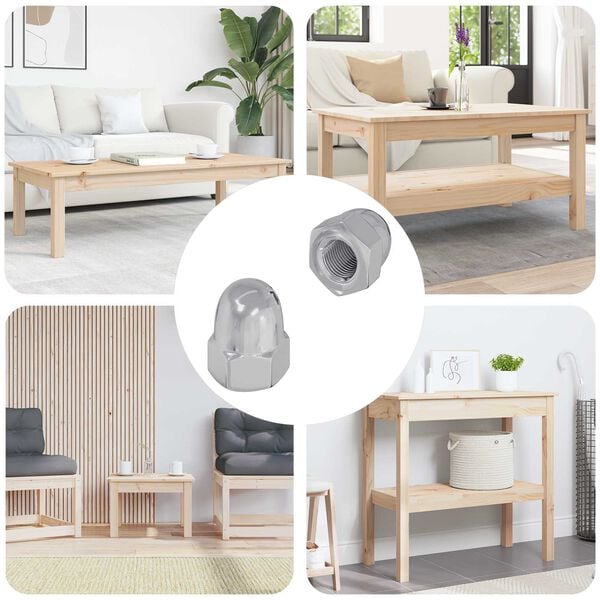 vidaXL Pultti 2 pcs Hopea M6 x 10 mm Rauta