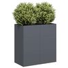vidaXL Kukkalaatikko antrasiitti 80x40x80 cm kylm&auml;valssattu ter&auml;s