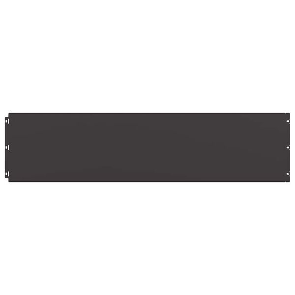 vidaXL Nurmikon reunalistat 10 kpl Musta 25x103cm Kylm&auml;valssattu ter&auml;s