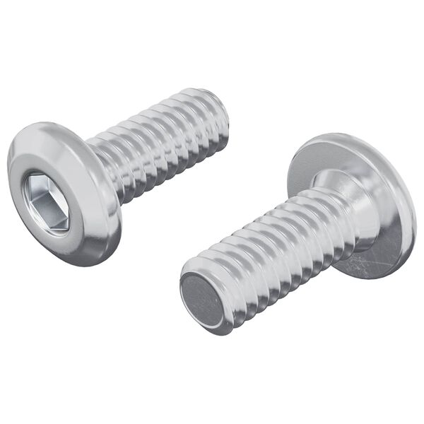 vidaXL P&auml;&auml;tylukitusruuvi 2 pcs Hopea M6 x 15 mm Ter&auml;s