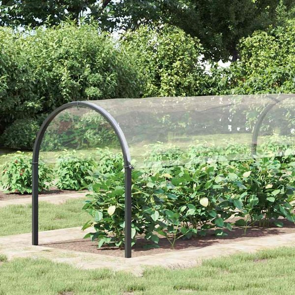 vidaXL kirkas suojapeite silmukoilla 2x10 m PVC