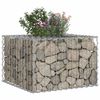 vidaXL Gabion Kohotettu Peti Hopea 60 x 60 x 40 cm Galvanoitu ter&auml;s
