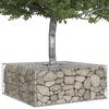 vidaXL Gabion Kohotettu Peti Hopea 100 x 100 x 40 cm Galvanoitu ter&auml;s