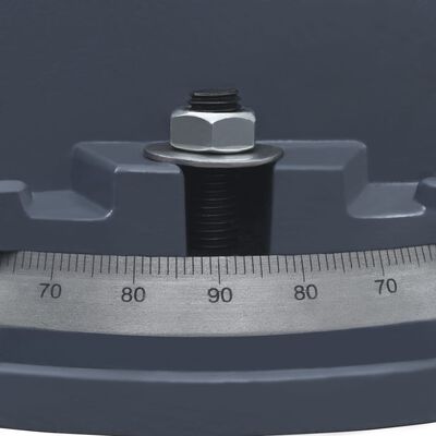 vidaXL Käännettävä ruuvipenkki valurauta 160 mm