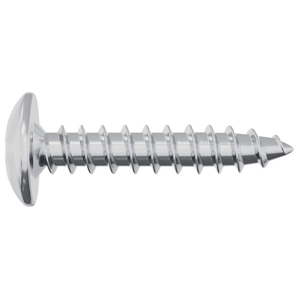 vidaXL Itsekiertev&auml; kynsi 2 pcs Sinkitty 4 x 20 mm Ter&auml;s