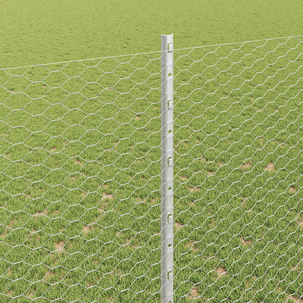 vidaXL Aita ja Tuki Hopea 1,6 x 50 m Ter&auml;s