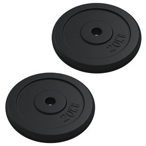 vidaXL Levypainot 40 kg valurauta