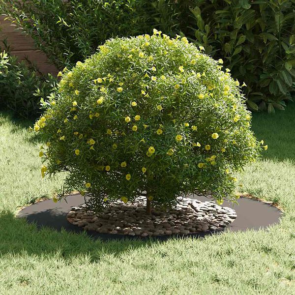 vidaXL sopiva Litte&auml;lle puu rengalle Musta &Oslash;50 / 80 cm Ter&auml;s