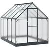 vidaXL Puutarhan Viherhuone ovella Antrasiitti 183,5 x 243,5 x 207 cm
