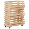 vidaXL Vihannesk&auml;rry 57x30x80 cm t&auml;ysi m&auml;nty