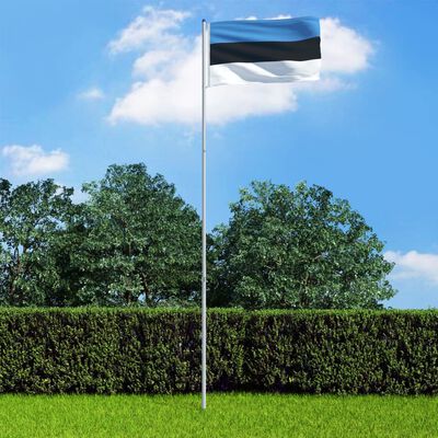 vidaXL Viron lippu ja tanko alumiini 6 m