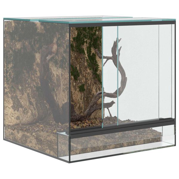 vidaXL Terrarium s&auml;ilytystilassa L&auml;pin&auml;kyv&auml; 30 x 30 x 30 cm Lasi