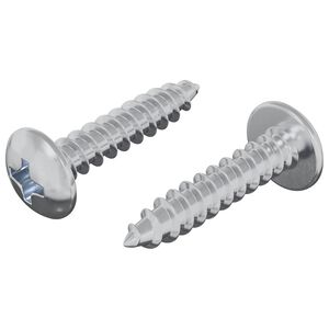 vidaXL Puuruuvit 2 kpl Hopea M4 x 20 mm Ter&auml;s