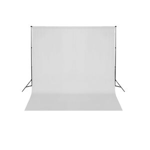 vidaXL Taustakankaan tukij&auml;rjestelm&auml; 600x300 cm valkoinen