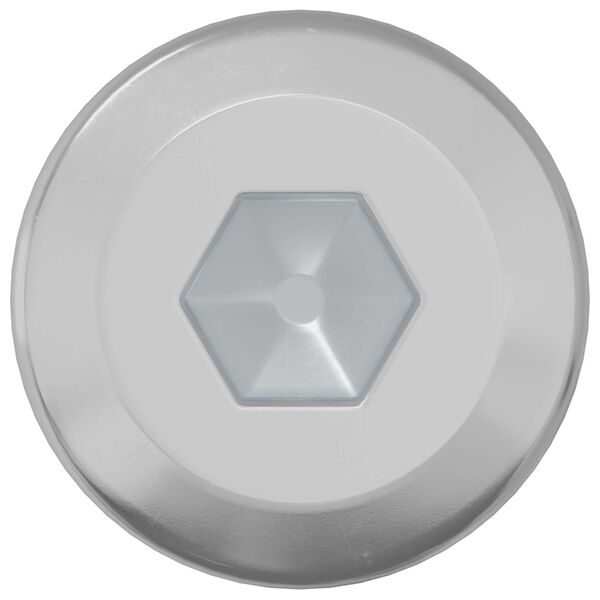 vidaXL Lukitusruuvi Yksiv&auml;rinen 2 pcs Hopea M6 x 12 mm Ter&auml;s