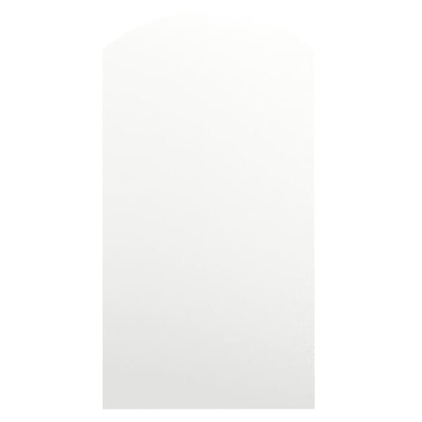 vidaXL Peili 90x45 cm lasi