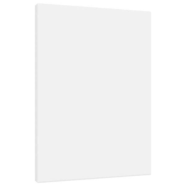 vidaXL Pingotettu maalauskangas 12 kpl valkoinen kangas ja t&auml;ysi m&auml;nty