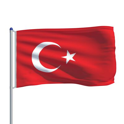 vidaXL Turkin lippu ja tanko alumiini 6 m
