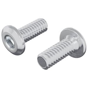 vidaXL P&auml;&auml;tylukitusruuvi 2 pcs Hopea M6 x 15 mm Ter&auml;s