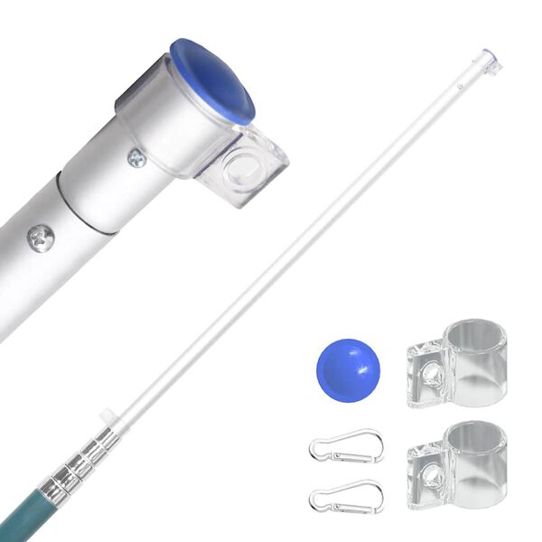 vidaXL Ruotsin lippu ja lipputanko 5,5 m alumiini